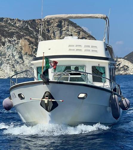 1978 Halmatic Butler 40 for sale in Roma, Italy