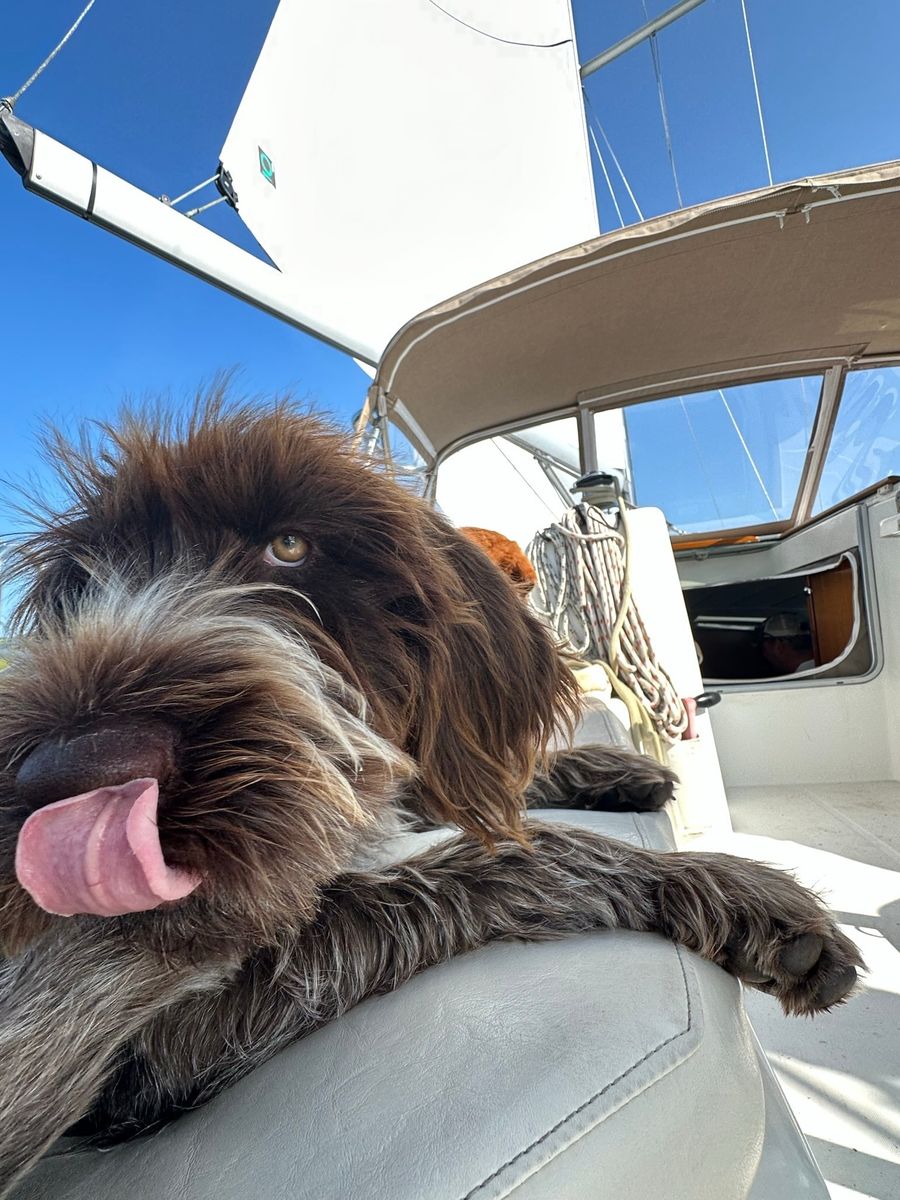 2004 Beneteau Oceanis Clipper 423