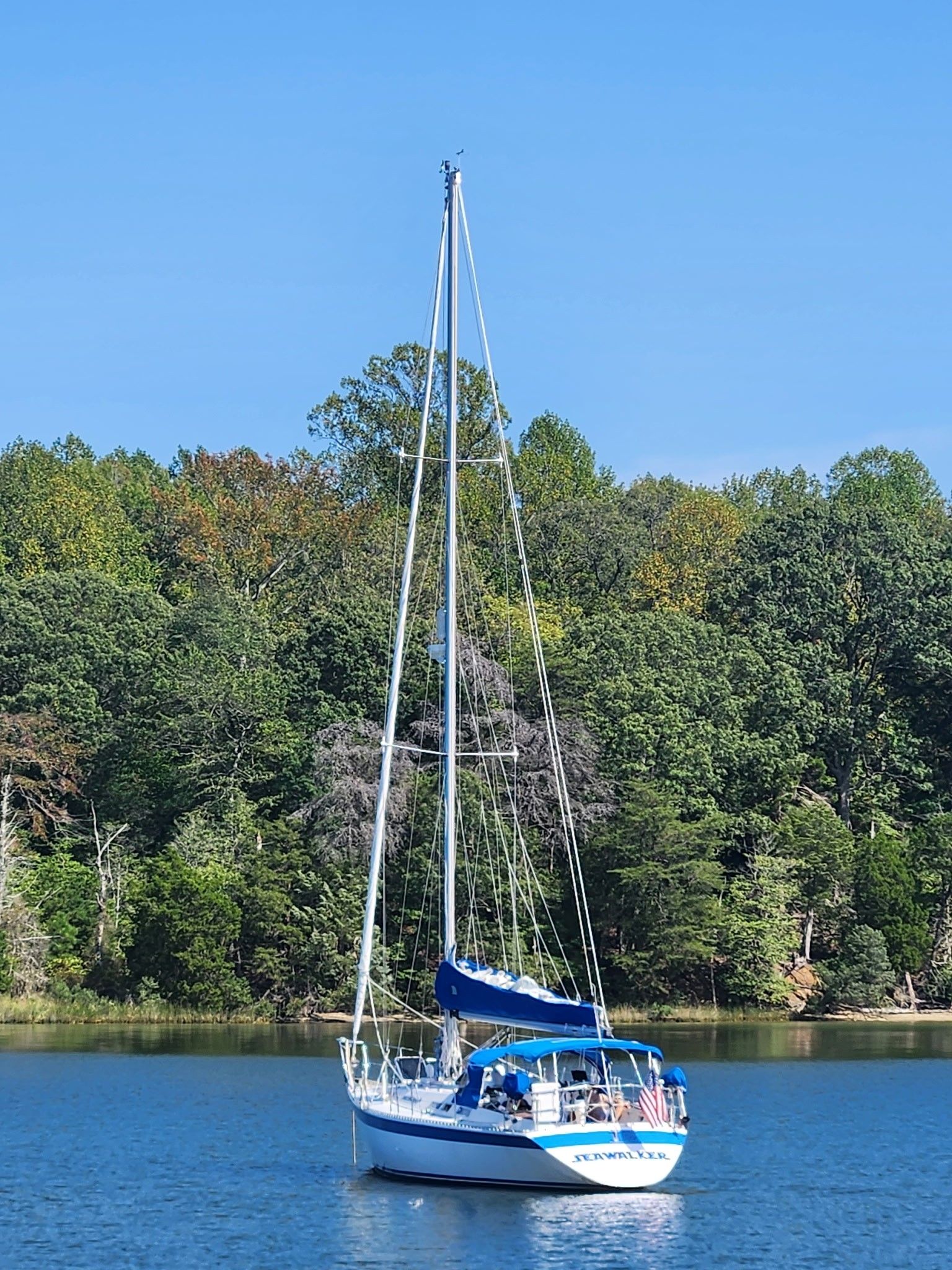 1987 Wauquiez Centurion