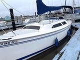 2005 Catalina C250