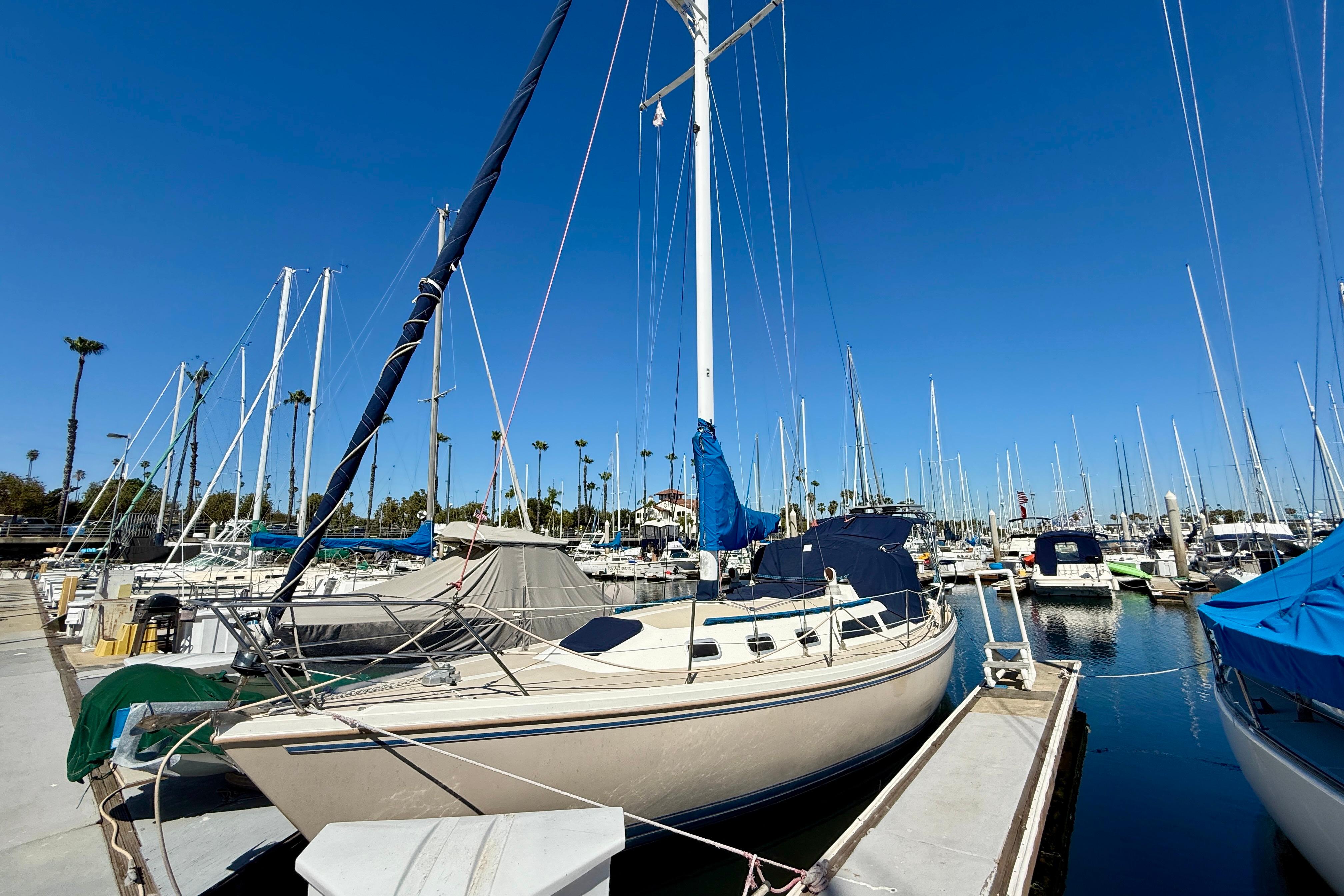 1989 Catalina 34 Boats