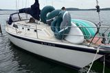 1982 O'Day 34