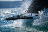 2026 Beneteau First 36se