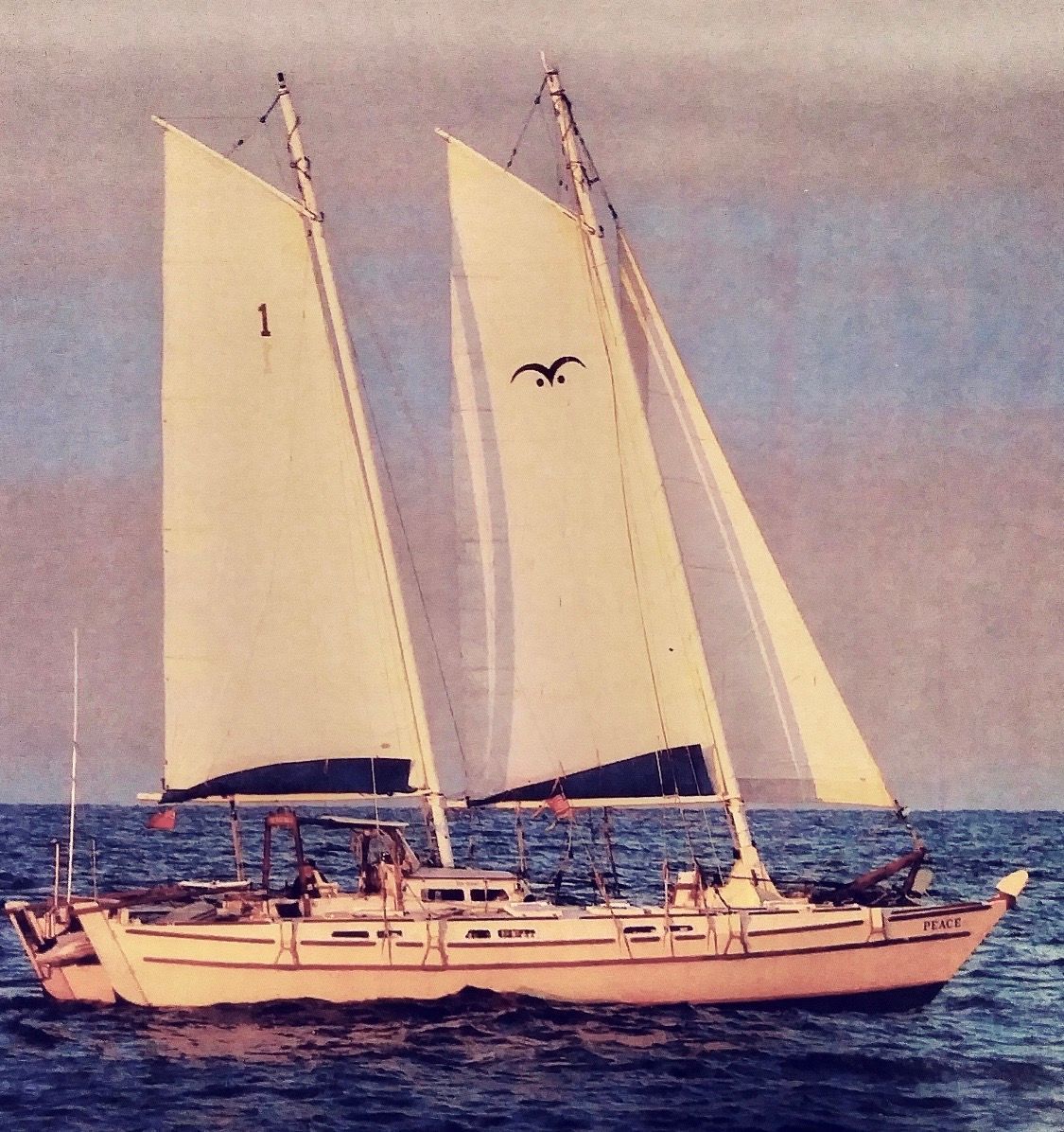 2004 Wharram Tiki 46
