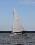 1989 Nonsuch Ultra