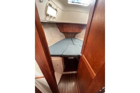 1984 Hunter 37 Cherubini Cutter