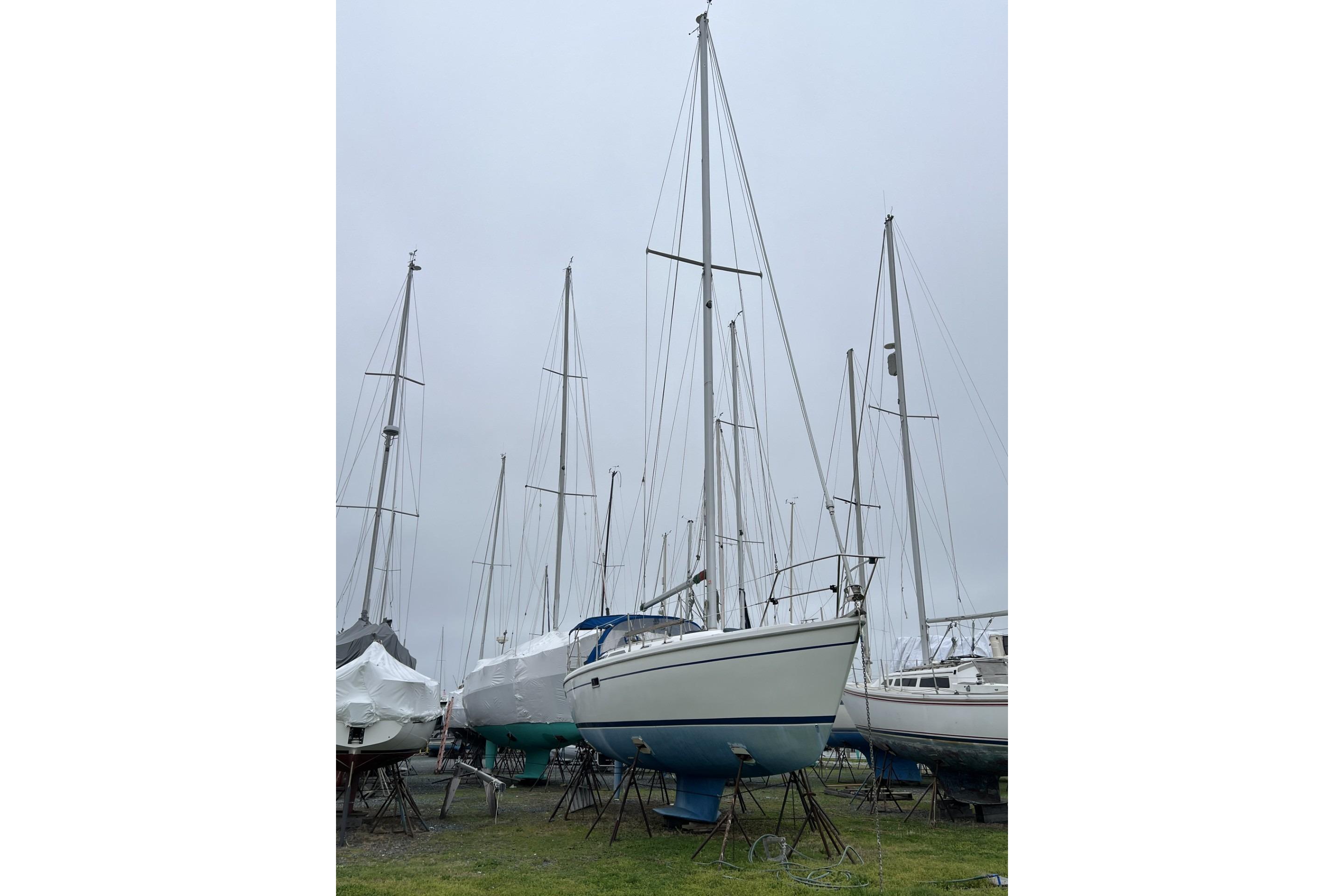 2003 Catalina 36 Mkii Boats