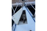 1984 Beneteau First 32