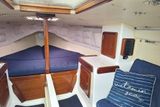 2004 Cape Cutter 19
