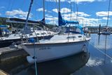 1993 Westerly Regatta 290