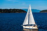2020 Island Packet 349