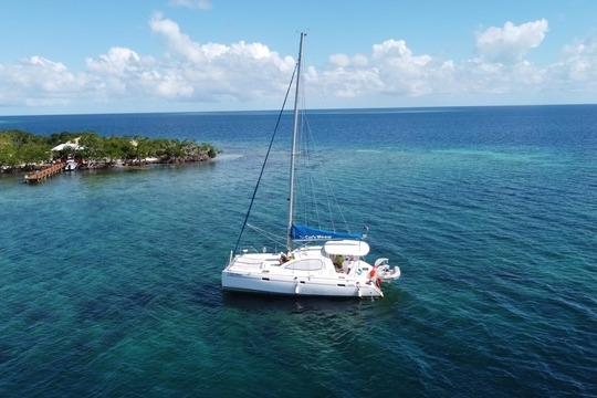 2008 Leopard 40