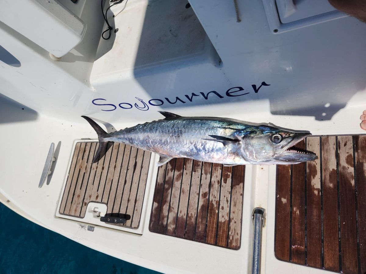 2006 Beneteau Oceanis Clipper 423