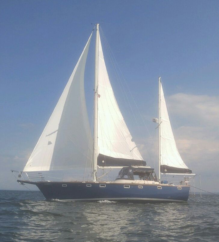 1984 Irwin 41